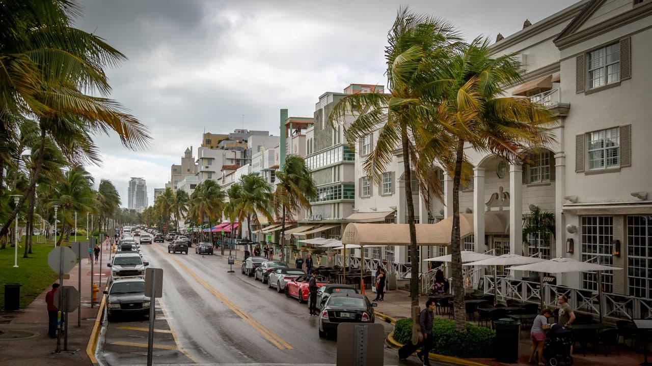 Palm trees bending in strong wind and rain during a hurricane in Miami with cars on a street