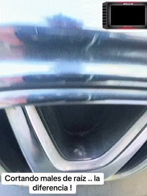 ( los kilómetros recorridos son aprendizaje sin pausa ) … DS_proformance cortandomales de raíz